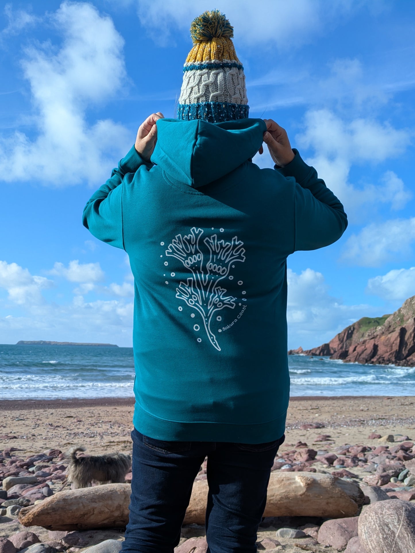 Organic "Seaweed" Hoodie